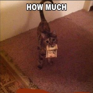 Meet your Posher, Olivia